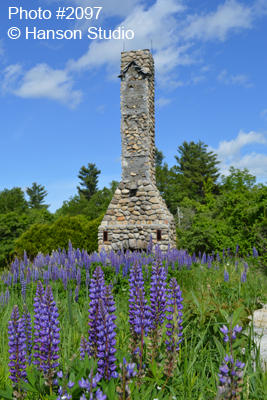 Lupines and Chimney
